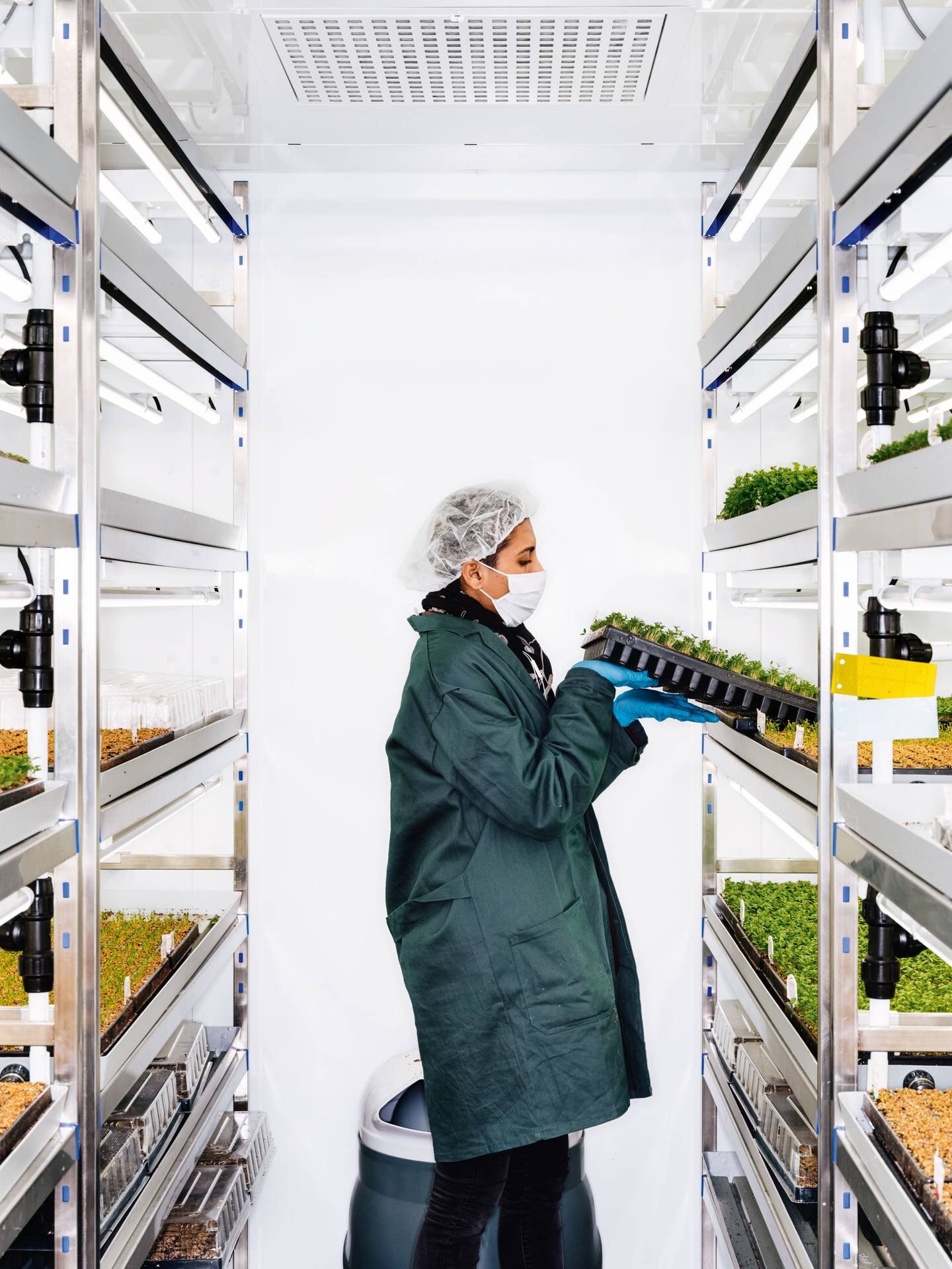 An Infarm employee checking on seedlings / Ériver Hijano